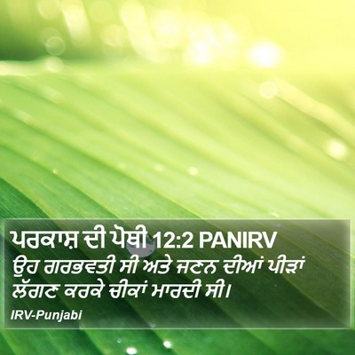 ਪਰਕਾਸ਼ ਦੀ ਪੋਥੀ 12:2 PANIRV Bible Verse Image