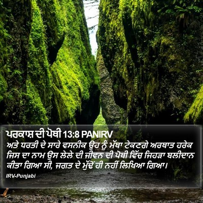 ਪਰਕਾਸ਼ ਦੀ ਪੋਥੀ 13:8 PANIRV Bible Verse Image