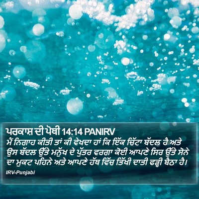 ਪਰਕਾਸ਼ ਦੀ ਪੋਥੀ 14:14 PANIRV Bible Verse Image