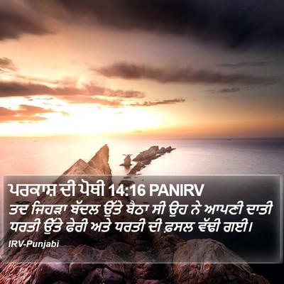 ਪਰਕਾਸ਼ ਦੀ ਪੋਥੀ 14:16 PANIRV Bible Verse Image