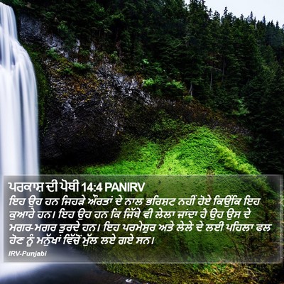 ਪਰਕਾਸ਼ ਦੀ ਪੋਥੀ 14:4 PANIRV Bible Verse Image