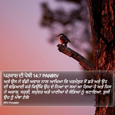 ਪਰਕਾਸ਼ ਦੀ ਪੋਥੀ 14:7 PANIRV Bible Verse Image