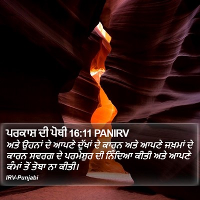 ਪਰਕਾਸ਼ ਦੀ ਪੋਥੀ 16:11 PANIRV Bible Verse Image