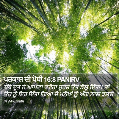 ਪਰਕਾਸ਼ ਦੀ ਪੋਥੀ 16:8 PANIRV Bible Verse Image