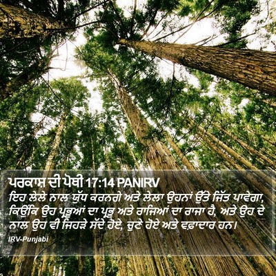 ਪਰਕਾਸ਼ ਦੀ ਪੋਥੀ 17:14 PANIRV Bible Verse Image
