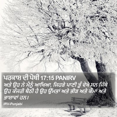 ਪਰਕਾਸ਼ ਦੀ ਪੋਥੀ 17:15 PANIRV Bible Verse Image