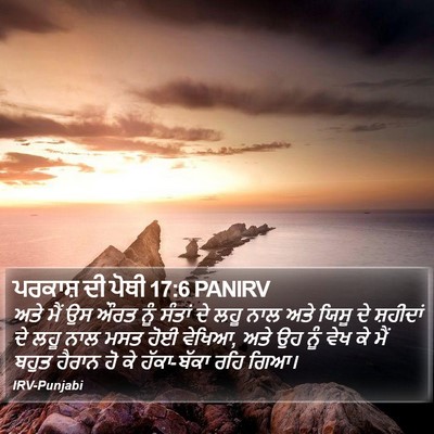 ਪਰਕਾਸ਼ ਦੀ ਪੋਥੀ 17:6 PANIRV Bible Verse Image