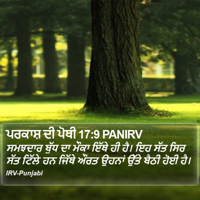ਪਰਕਾਸ਼ ਦੀ ਪੋਥੀ 17:9 PANIRV Bible Verse Image
