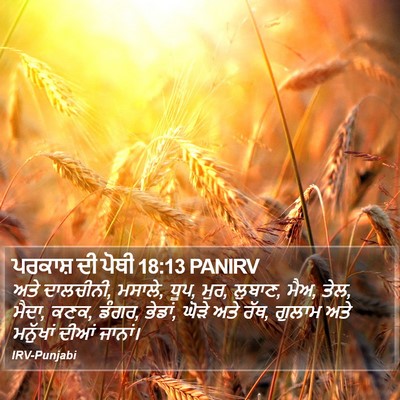 ਪਰਕਾਸ਼ ਦੀ ਪੋਥੀ 18:13 PANIRV Bible Verse Image