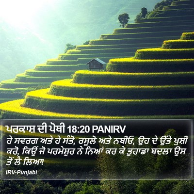 ਪਰਕਾਸ਼ ਦੀ ਪੋਥੀ 18:20 PANIRV Bible Verse Image