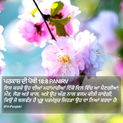 ਪਰਕਾਸ਼ ਦੀ ਪੋਥੀ 18:8 PANIRV Bible Verse Image