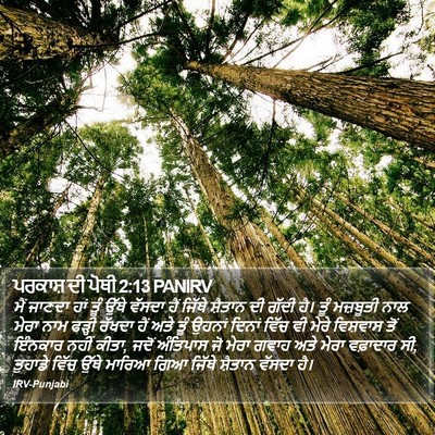 ਪਰਕਾਸ਼ ਦੀ ਪੋਥੀ 2:13 PANIRV Bible Verse Image