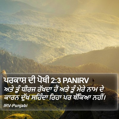 ਪਰਕਾਸ਼ ਦੀ ਪੋਥੀ 2:3 PANIRV Bible Verse Image