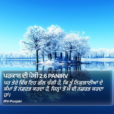 ਪਰਕਾਸ਼ ਦੀ ਪੋਥੀ 2:6 PANIRV Bible Verse Image