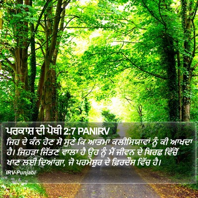 ਪਰਕਾਸ਼ ਦੀ ਪੋਥੀ 2:7 PANIRV Bible Verse Image