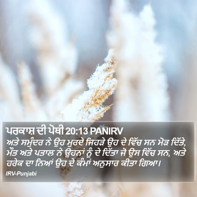 ਪਰਕਾਸ਼ ਦੀ ਪੋਥੀ 20:13 PANIRV Bible Verse Image