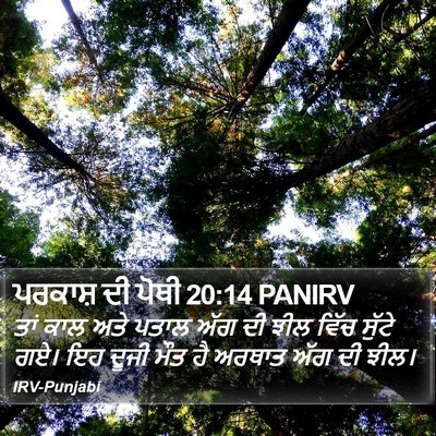 ਪਰਕਾਸ਼ ਦੀ ਪੋਥੀ 20:14 PANIRV Bible Verse Image