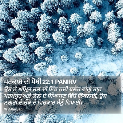 ਪਰਕਾਸ਼ ਦੀ ਪੋਥੀ 22:1 PANIRV Bible Verse Image