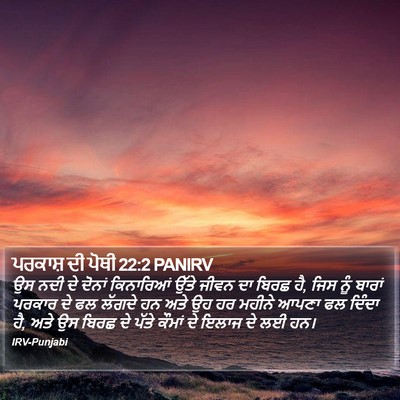 ਪਰਕਾਸ਼ ਦੀ ਪੋਥੀ 22:2 PANIRV Bible Verse Image