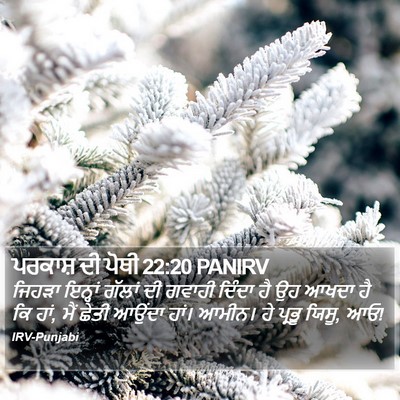 ਪਰਕਾਸ਼ ਦੀ ਪੋਥੀ 22:20 PANIRV Bible Verse Image