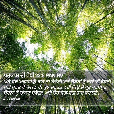 ਪਰਕਾਸ਼ ਦੀ ਪੋਥੀ 22:5 PANIRV Bible Verse Image