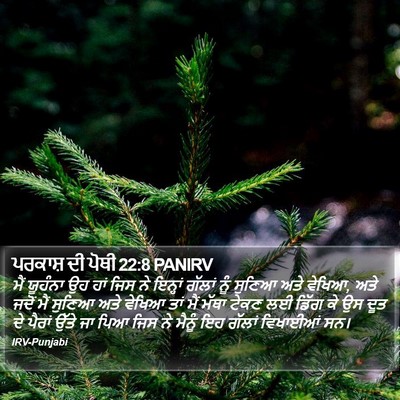 ਪਰਕਾਸ਼ ਦੀ ਪੋਥੀ 22:8 PANIRV Bible Verse Image