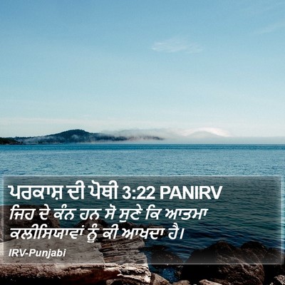 ਪਰਕਾਸ਼ ਦੀ ਪੋਥੀ 3:22 PANIRV Bible Verse Image