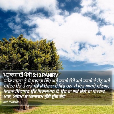 ਪਰਕਾਸ਼ ਦੀ ਪੋਥੀ 5:13 PANIRV Bible Verse Image
