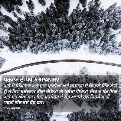 ਪਰਕਾਸ਼ ਦੀ ਪੋਥੀ 5:6 PANIRV Bible Verse Image