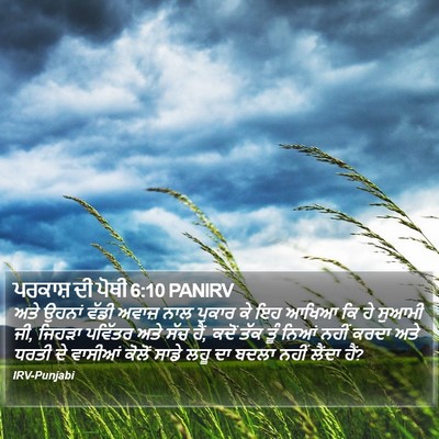 ਪਰਕਾਸ਼ ਦੀ ਪੋਥੀ 6:10 PANIRV Bible Verse Image