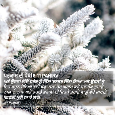 ਪਰਕਾਸ਼ ਦੀ ਪੋਥੀ 6:11 PANIRV Bible Verse Image