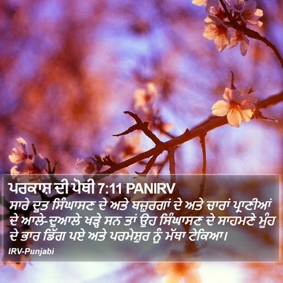 ਪਰਕਾਸ਼ ਦੀ ਪੋਥੀ 7:11 PANIRV Bible Verse Image