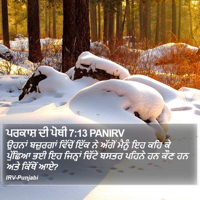 ਪਰਕਾਸ਼ ਦੀ ਪੋਥੀ 7:13 PANIRV Bible Verse Image