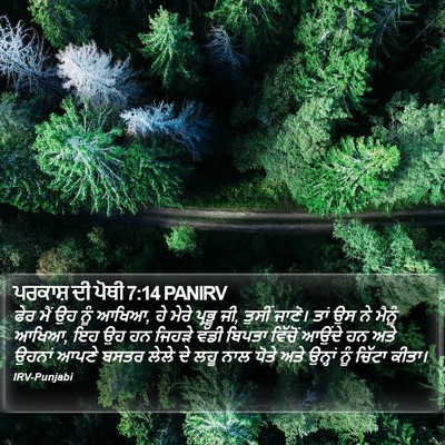 ਪਰਕਾਸ਼ ਦੀ ਪੋਥੀ 7:14 PANIRV Bible Verse Image