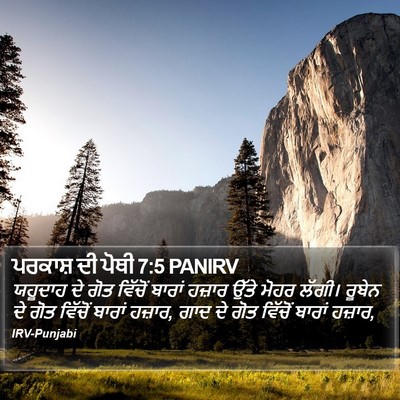 ਪਰਕਾਸ਼ ਦੀ ਪੋਥੀ 7:5 PANIRV Bible Verse Image
