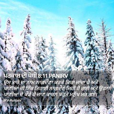 ਪਰਕਾਸ਼ ਦੀ ਪੋਥੀ 8:11 PANIRV Bible Verse Image