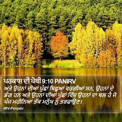 ਪਰਕਾਸ਼ ਦੀ ਪੋਥੀ 9:10 PANIRV Bible Verse Image
