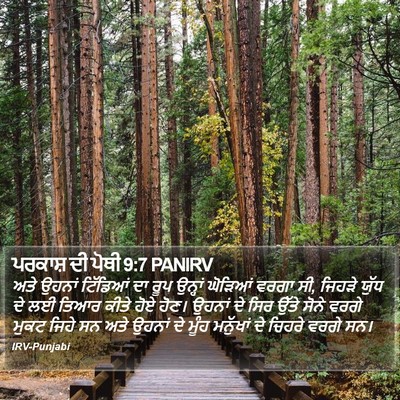 ਪਰਕਾਸ਼ ਦੀ ਪੋਥੀ 9:7 PANIRV Bible Verse Image