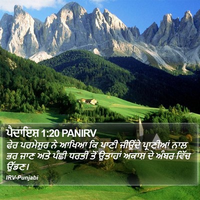 ਪੈਦਾਇਸ਼ 1:20 PANIRV Bible Verse Image