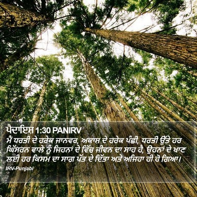 ਪੈਦਾਇਸ਼ 1:30 PANIRV Bible Verse Image