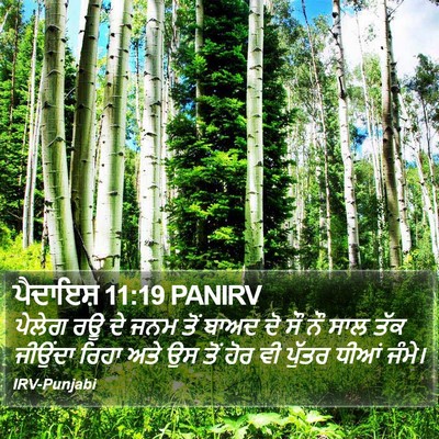 ਪੈਦਾਇਸ਼ 11:19 PANIRV Bible Verse Image