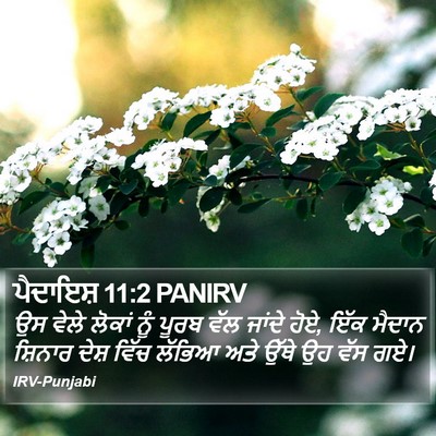 ਪੈਦਾਇਸ਼ 11:2 PANIRV Bible Verse Image