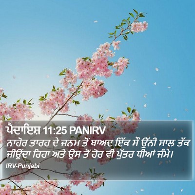 ਪੈਦਾਇਸ਼ 11:25 PANIRV Bible Verse Image