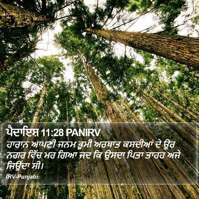 ਪੈਦਾਇਸ਼ 11:28 PANIRV Bible Verse Image
