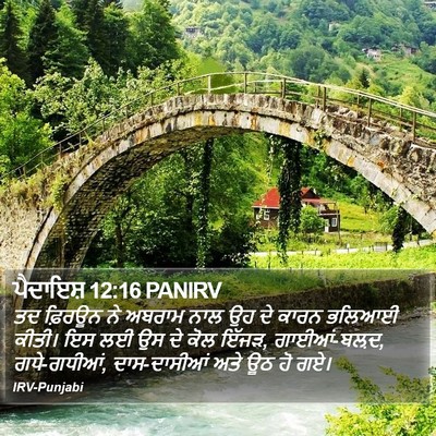 ਪੈਦਾਇਸ਼ 12:16 PANIRV Bible Verse Image