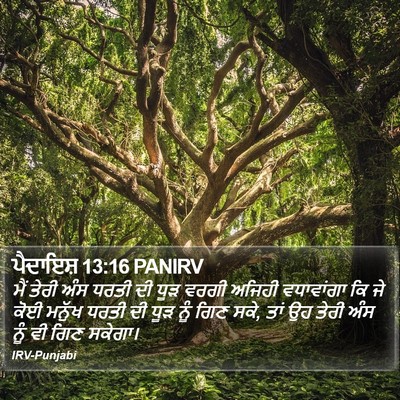 ਪੈਦਾਇਸ਼ 13:16 PANIRV Bible Verse Image