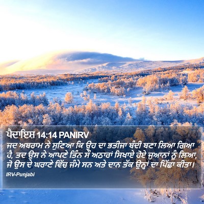 ਪੈਦਾਇਸ਼ 14:14 PANIRV Bible Verse Image