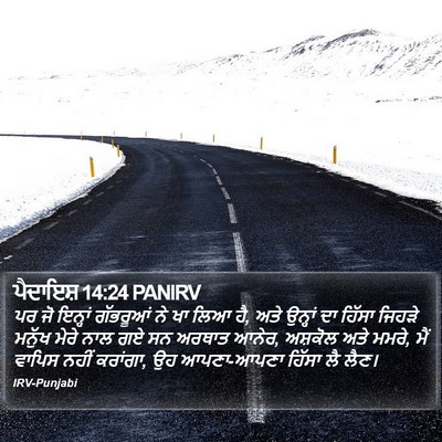 ਪੈਦਾਇਸ਼ 14:24 PANIRV Bible Verse Image