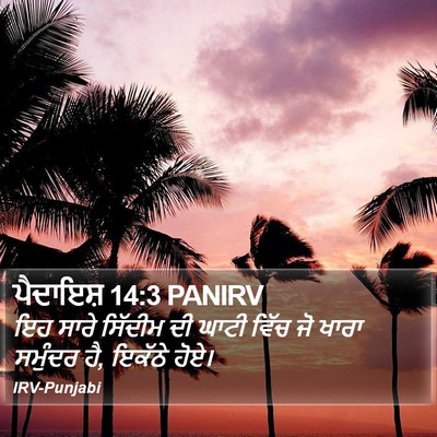 ਪੈਦਾਇਸ਼ 14:3 PANIRV Bible Verse Image