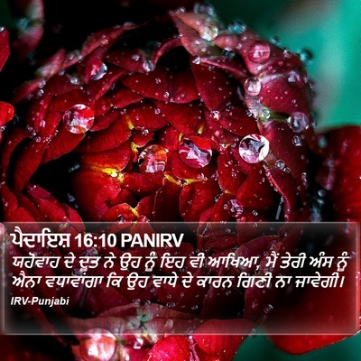 ਪੈਦਾਇਸ਼ 16:10 PANIRV Bible Verse Image
